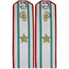 Медицинская служба ВМФ СССР. Старший офицерский состава  (без военно-медицинского образования), погоны обр. 1943 г.
